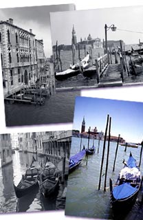 Examples of photographs from the 'Venice Collection'